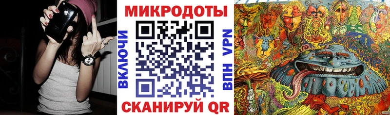 Галлюциногенные грибы Psilocybe  Игарка 